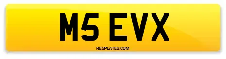 M5 EVX