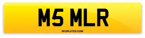 M5 MLR