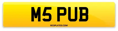 M5 PUB