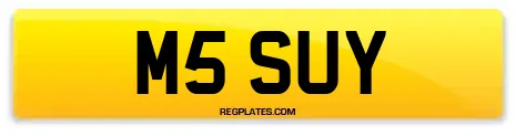 M5 SUY