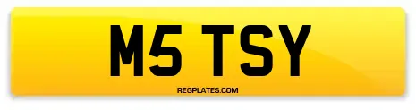 M5 TSY