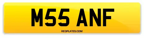 M55 ANF