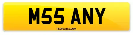 M55 ANY
