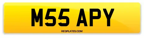 M55 APY