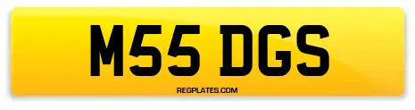 M55 DGS