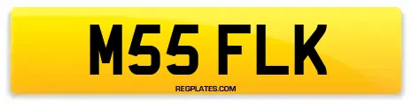 M55 FLK