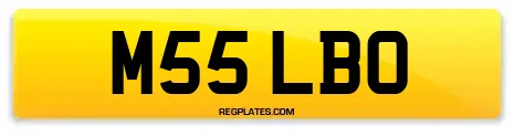 M55 LBO