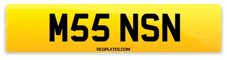 M55 NSN