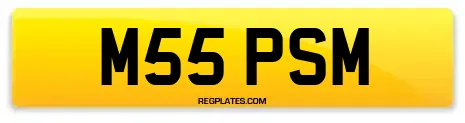 M55 PSM