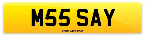 M55 SAY