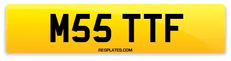 M55 TTF