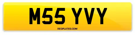 M55 YVY