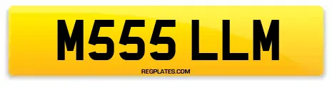 M555 LLM