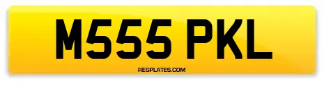M555 PKL