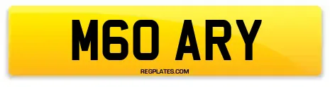 M60 ARY