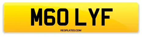 M60 LYF