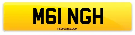M61 NGH