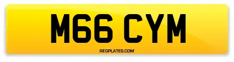 M66 CYM