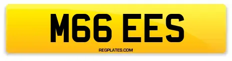 M66 EES
