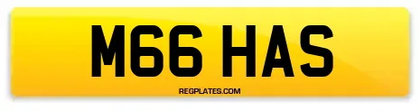 M66 HAS