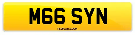 M66 SYN