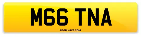M66 TNA
