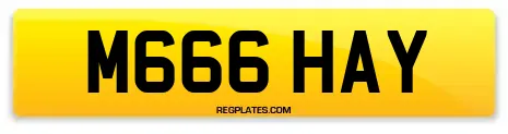 M666 HAY
