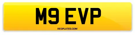 M9 EVP
