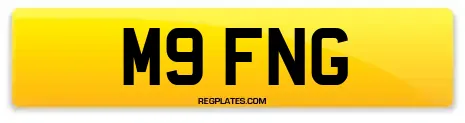 M9 FNG