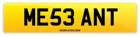 ME53 ANT