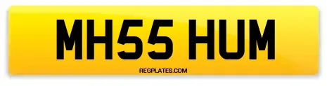 MH55 HUM