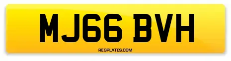 MJ66 BVH