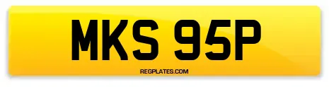 MKS 95P