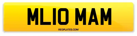 ML10 MAM