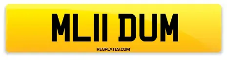 ML11 DUM