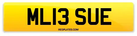 ML13 SUE
