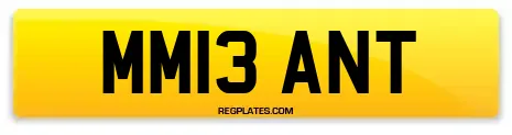 MM13 ANT