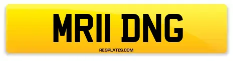 MR11 DNG