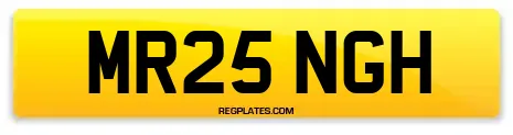 MR25 NGH