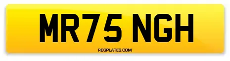 MR75 NGH