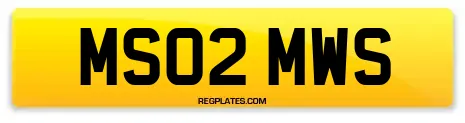 MS02 MWS