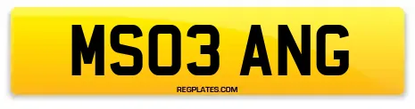 MS03 ANG