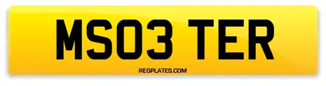 MS03 TER