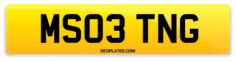 MS03 TNG