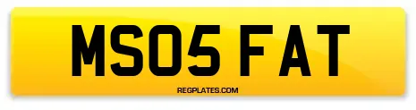 MS05 FAT