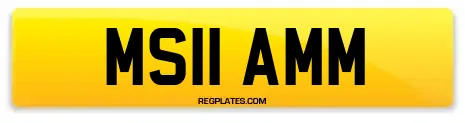 MS11 AMM