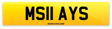 MS11 AYS