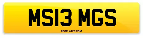 MS13 MGS