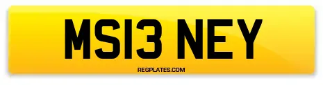 MS13 NEY