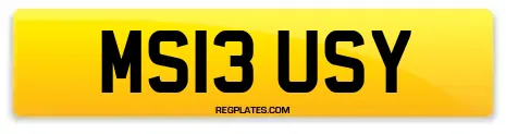 MS13 USY